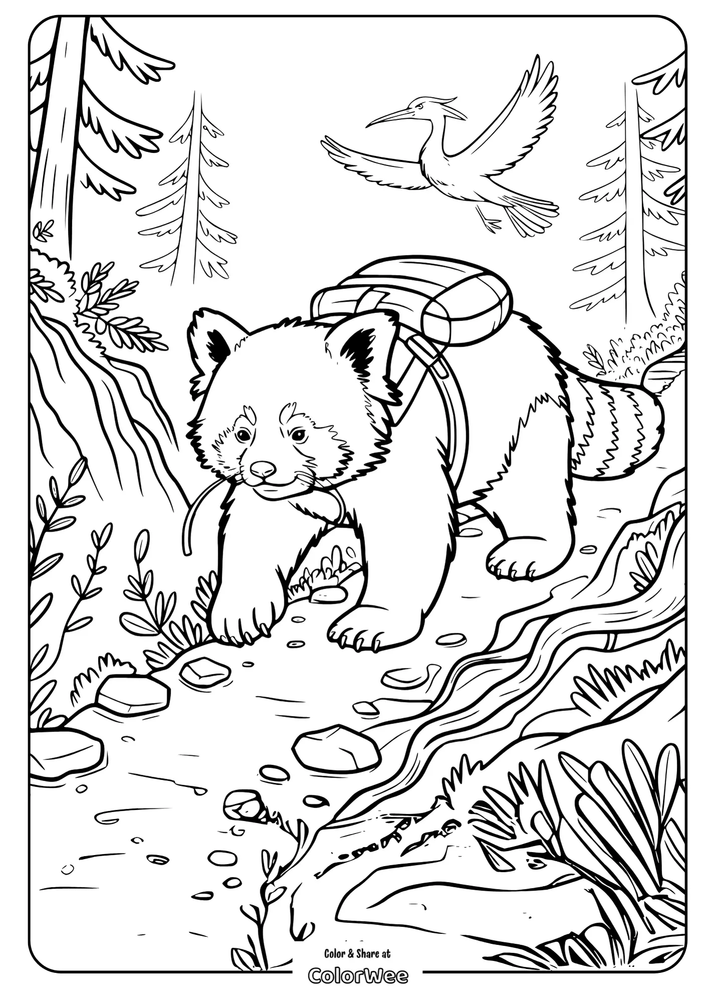 Big Red Panda Among the Misty Mountains 2 Young red panda hiking a forest trail coloring page.