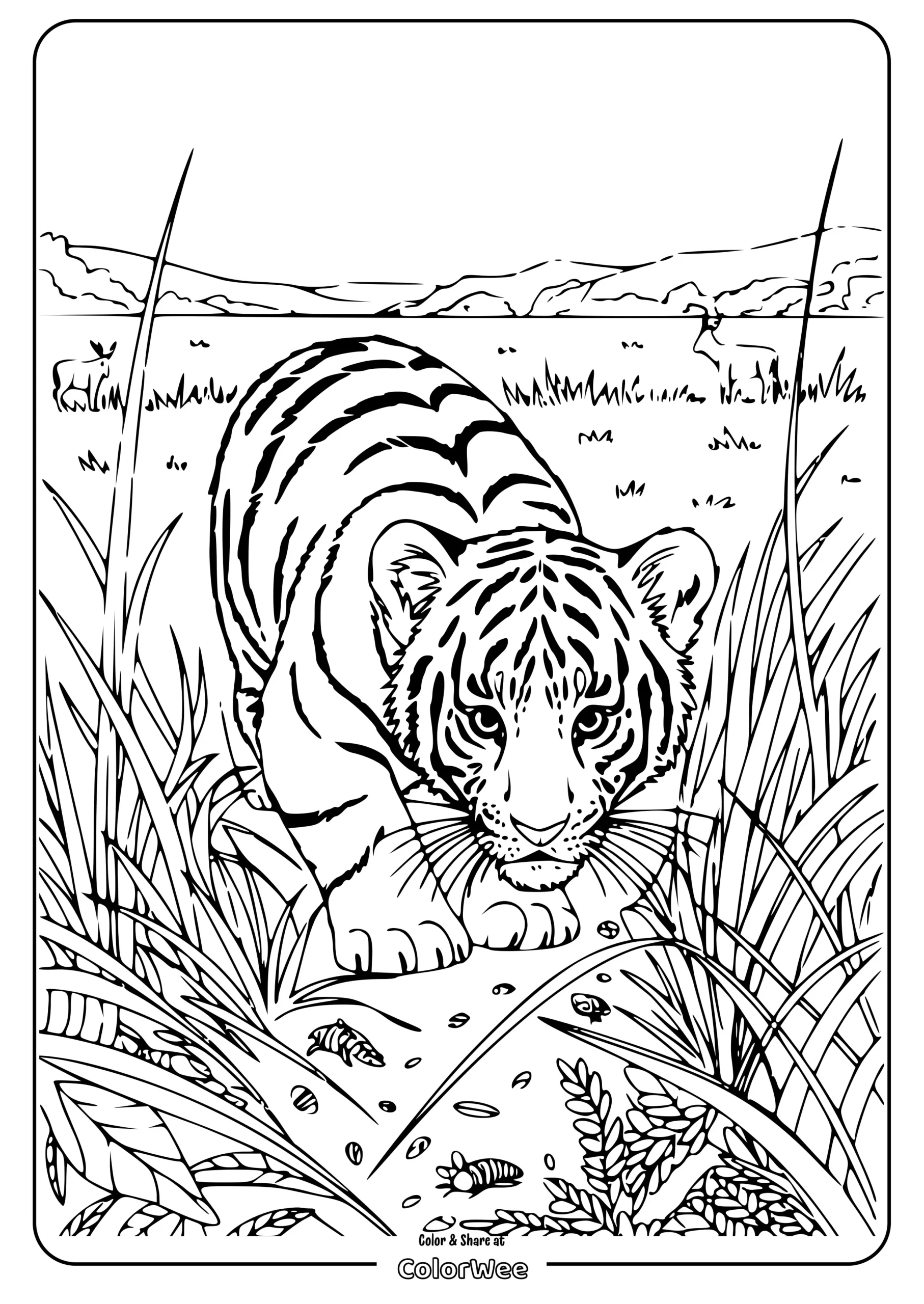 bengal tiger walking coloring page scaled Young tiger in grassland coloring page.