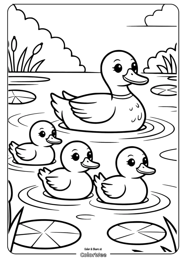 family duck swimming together Duck family coloring page: mother duck and ducklings swimming.