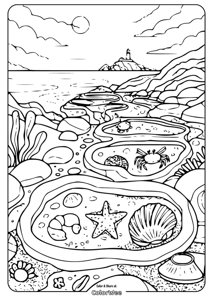 realistic beach clams coloring pages Ocean tide pool scene with starfish and seashells for coloring fun