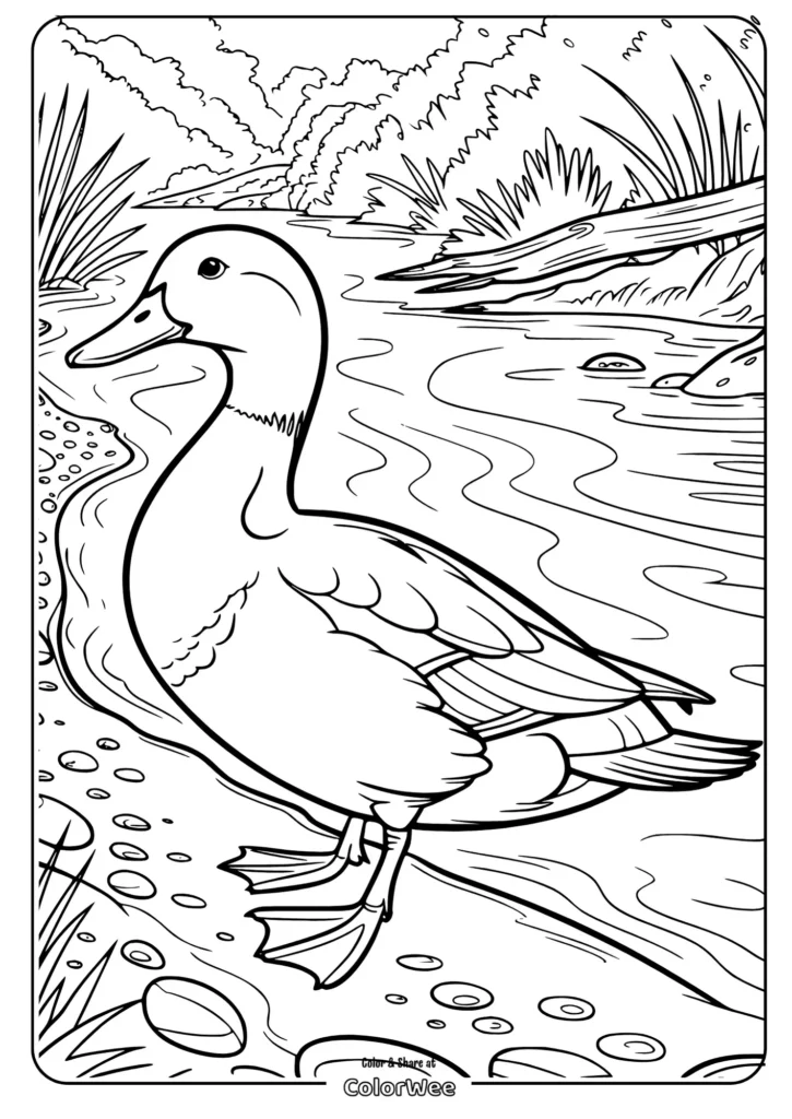 realistic duck on a riverside path Duck standing by a stream - coloring page for kids.
