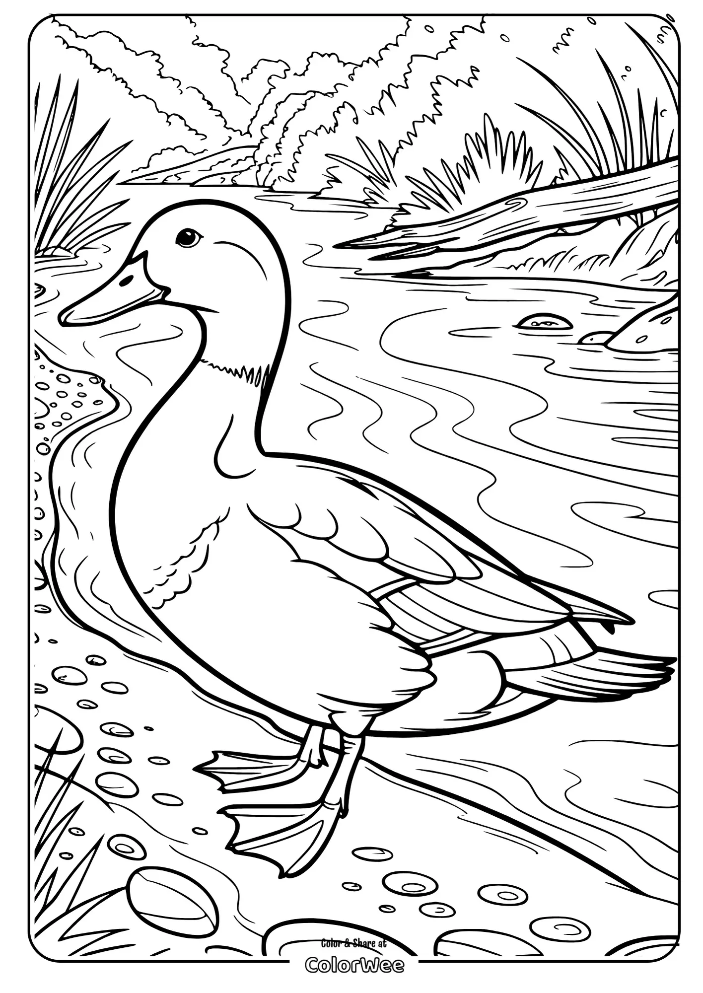 Duck standing by a stream - coloring page for kids.