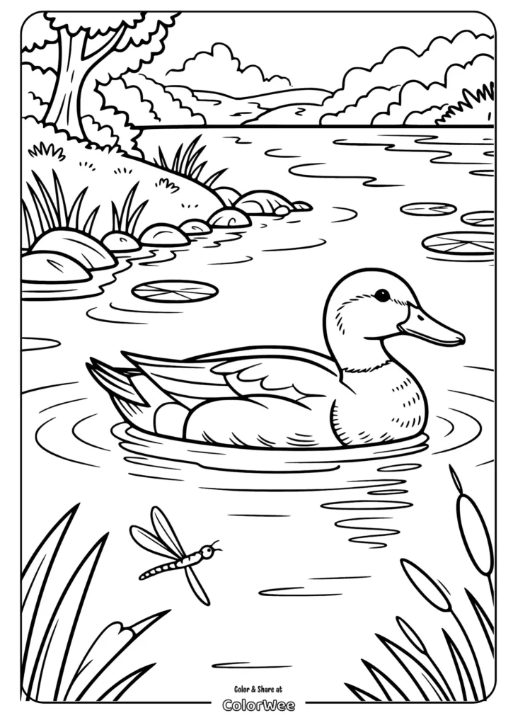 realistic duck swimming in the river Duck swimming in a serene pond coloring page.