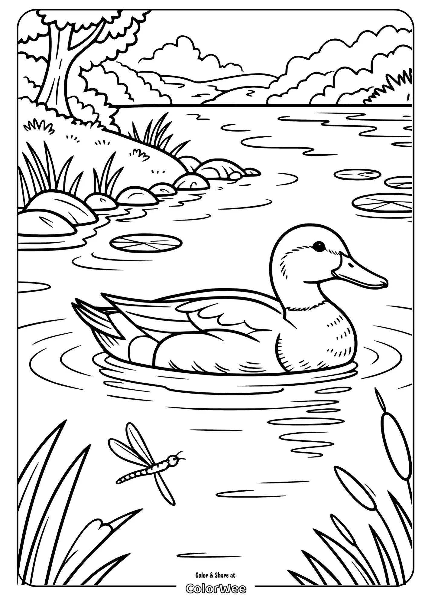 Duck swimming in a serene pond coloring page.
