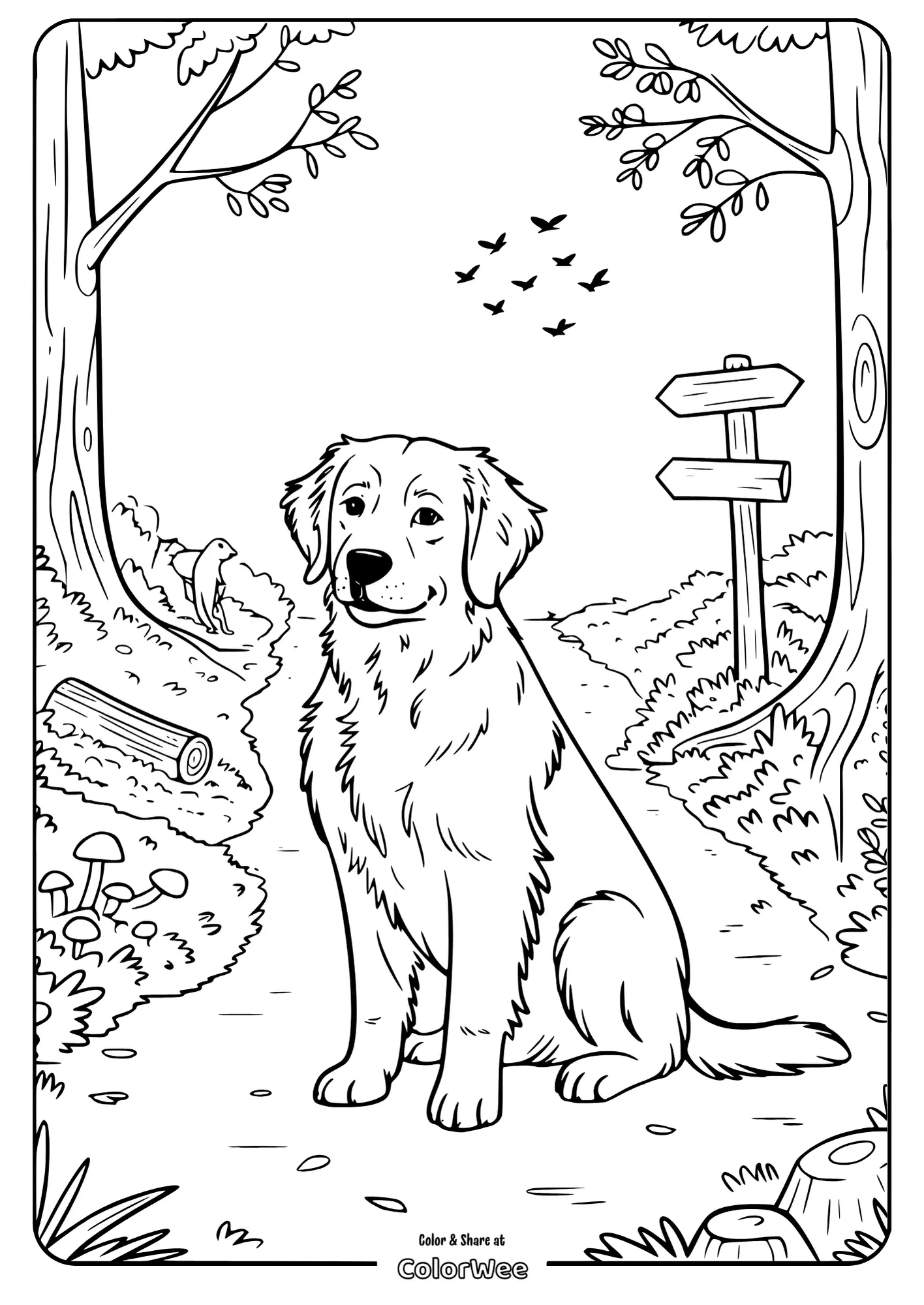 Cute dog in forest coloring page with trees and signposts.