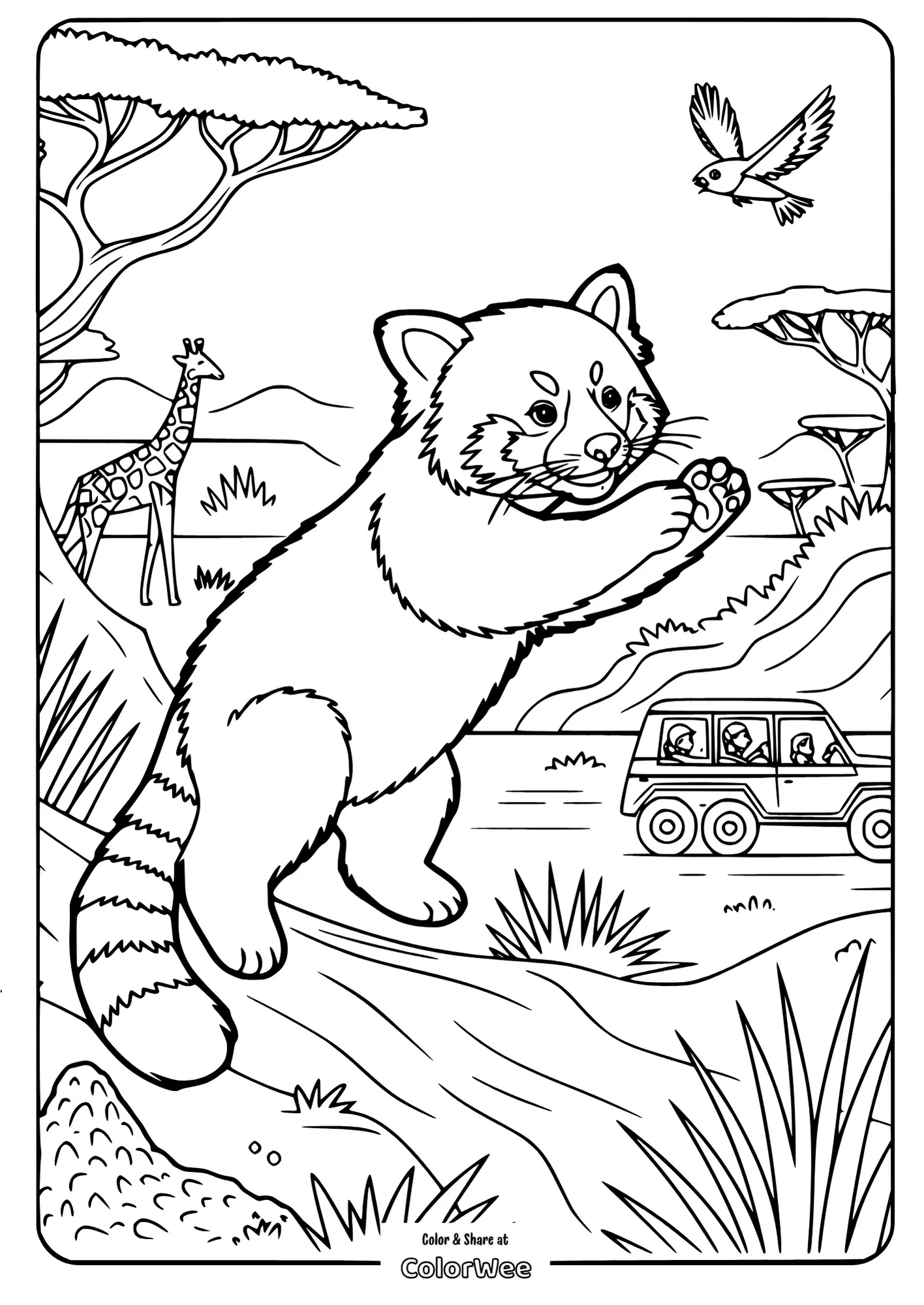 realistic red panda catching bird safari coloring page.pdf 2 Cute safari animal coloring page with jeep and wildlife.