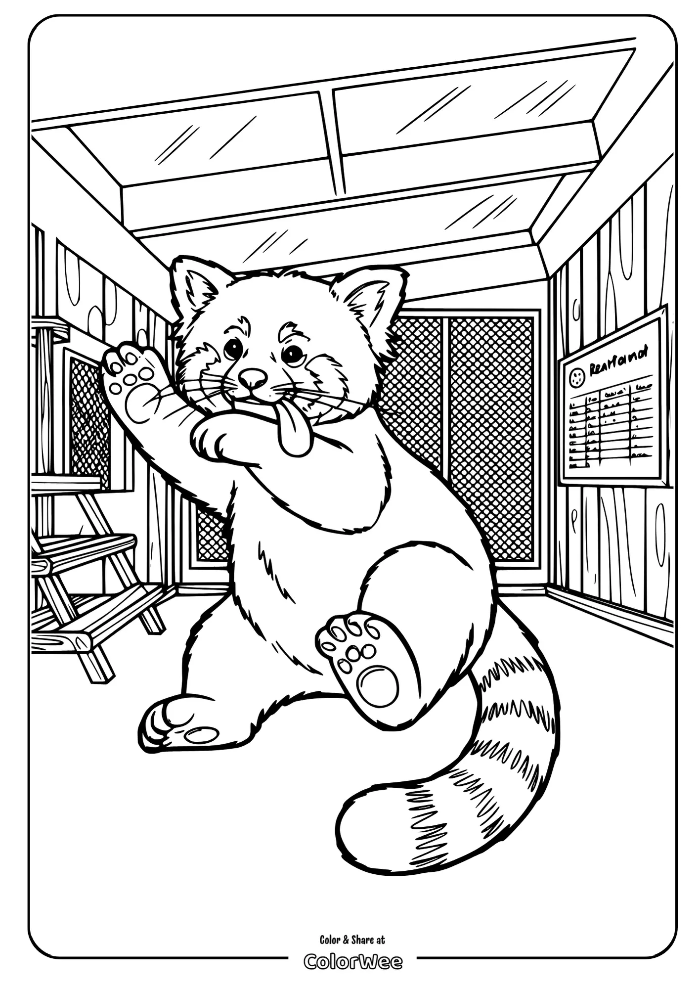 realistic red panda rolling detailed habitat coloring page.pdf 2 Cute red panda coloring page for kids.