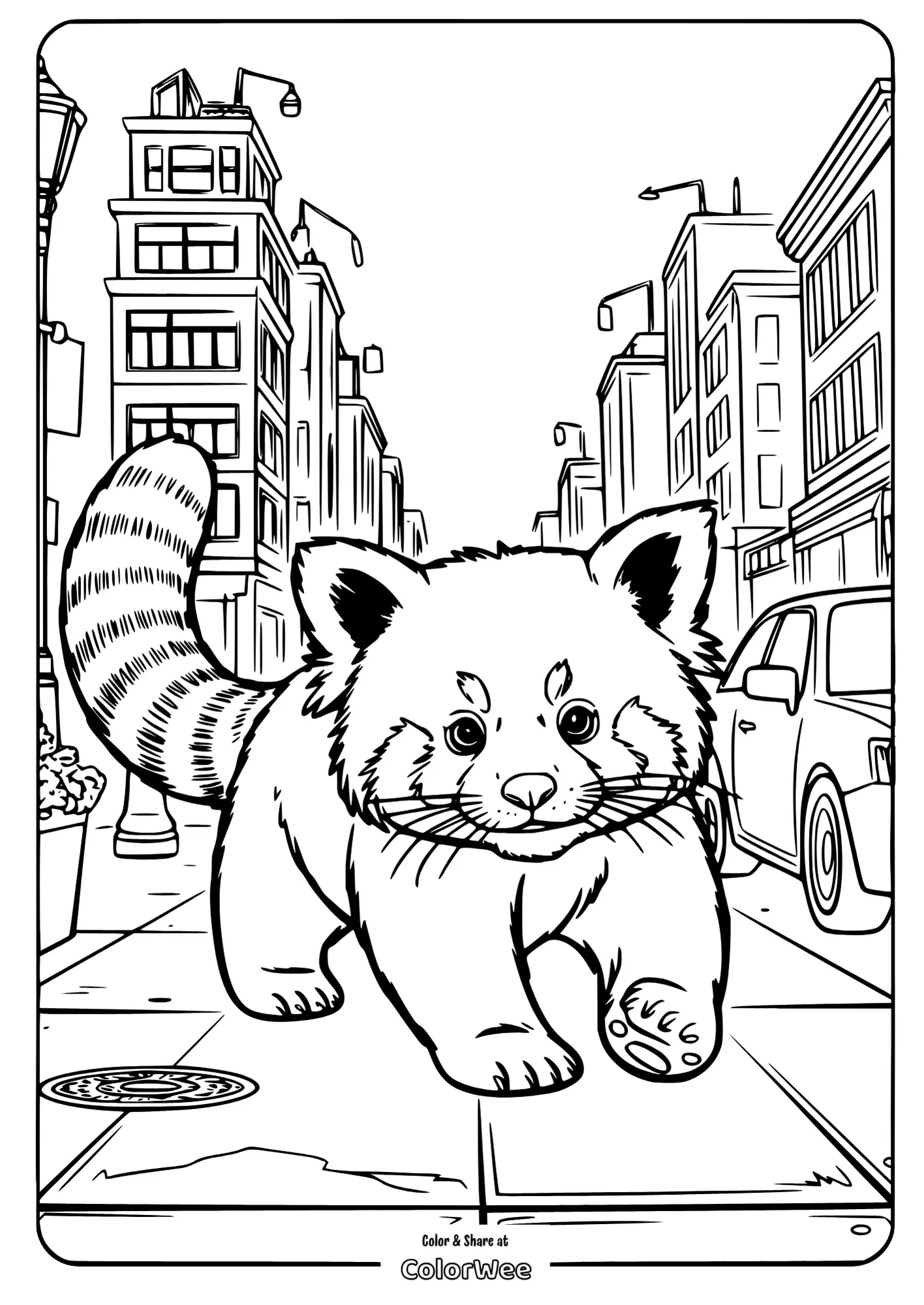 realistic red panda walking city coloring page advanced.pdf 2 Red panda coloring page, city background, car and buildings visible.