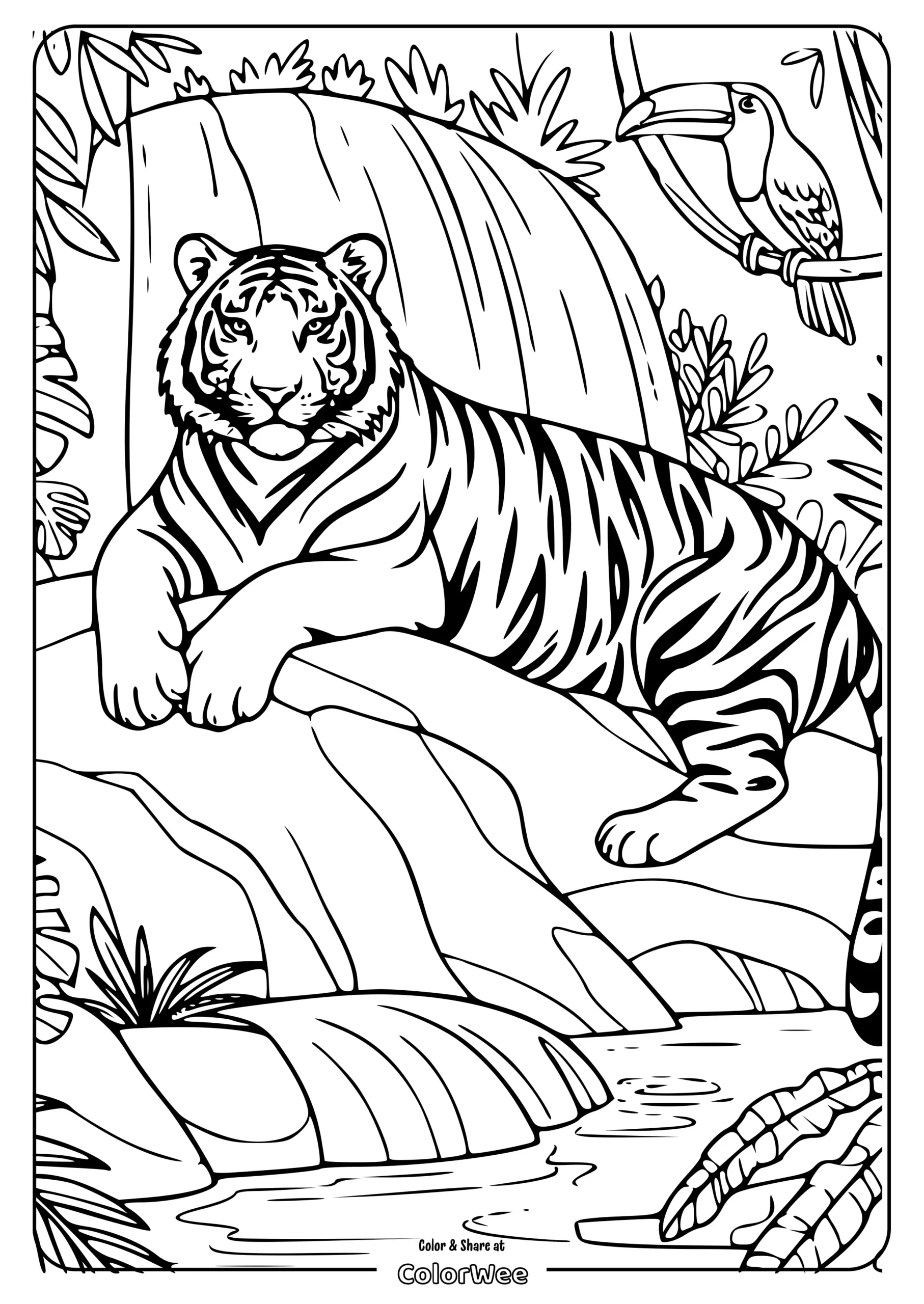 realistic tiger waterfall coloring page scaled Tiger and toucan in jungle coloring page.