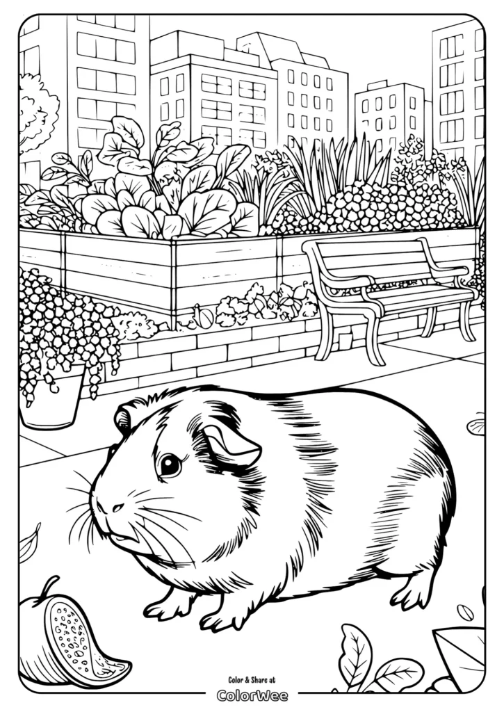 realistic guinea pig city garden walk Guinea pig in a city garden coloring page.