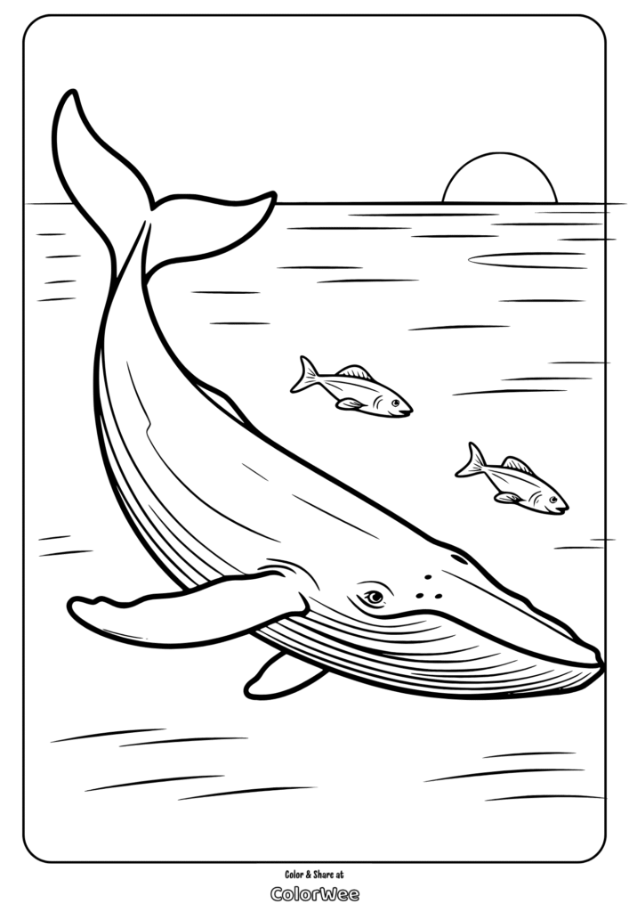Whale coloring page with ocean sunset and fish.