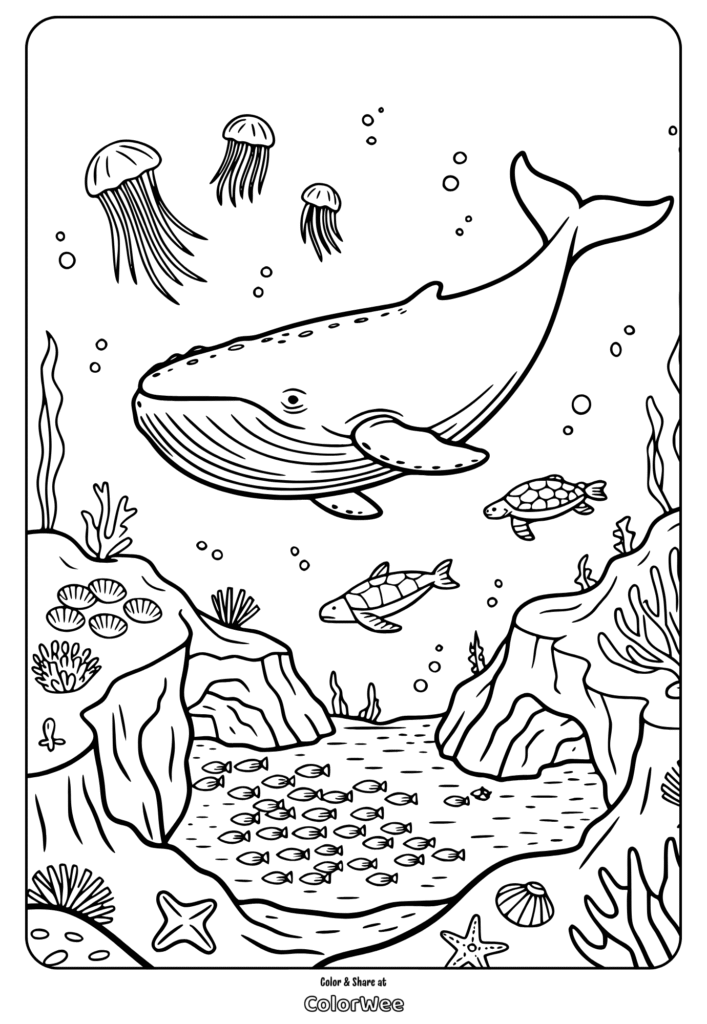 Humpback whale and sea life coloring page with jellyfish and turtles
