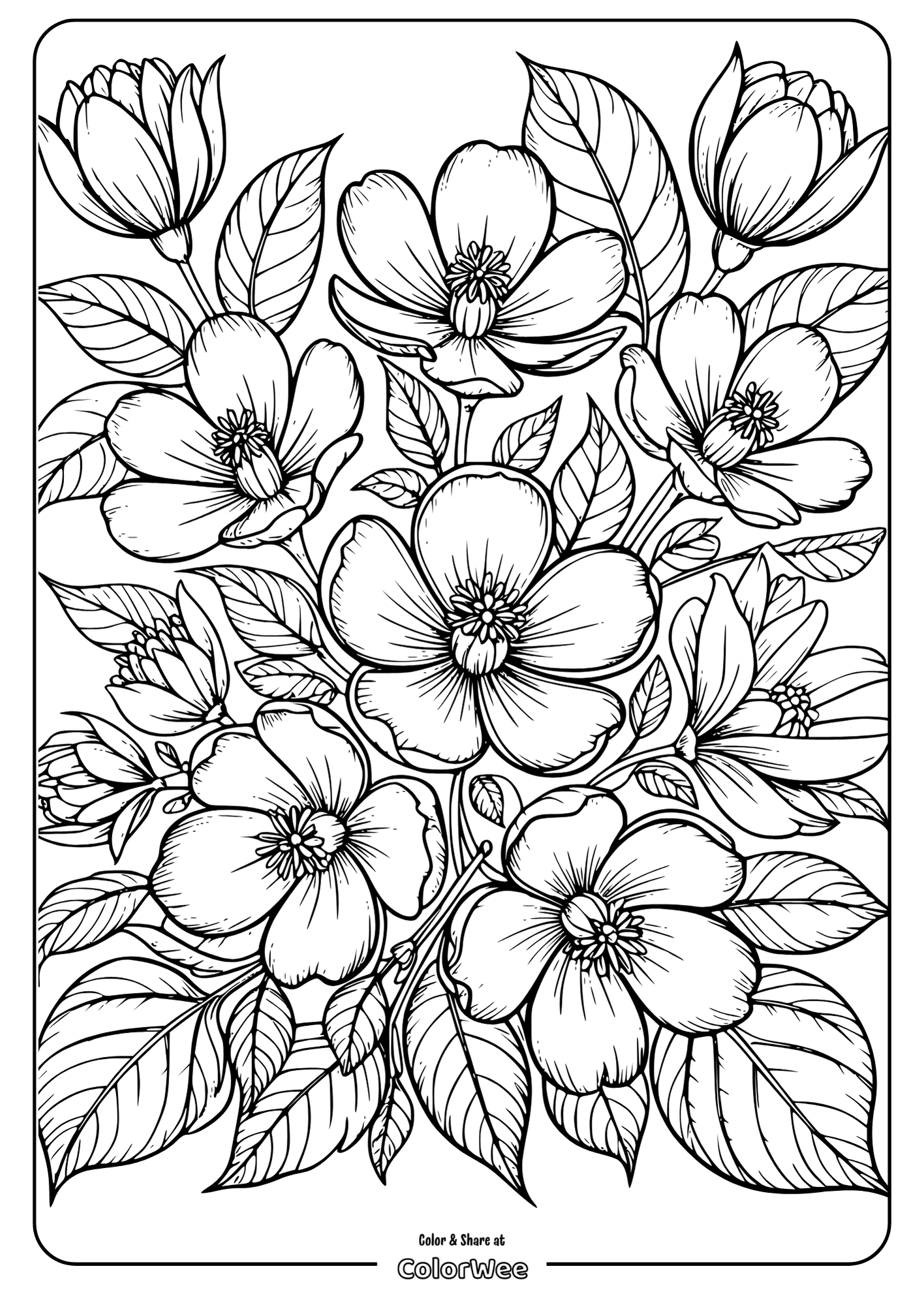 Floral coloring page with intricate flower designs and leaves.