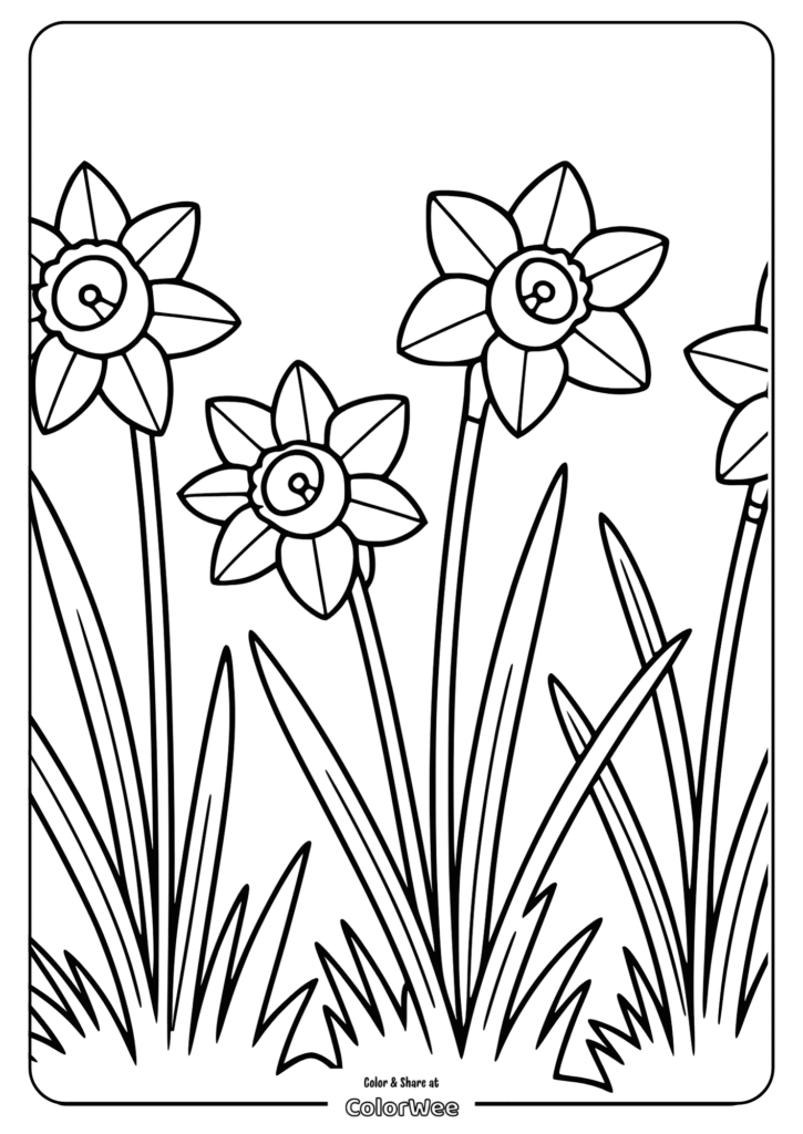Line drawing of daffodils for coloring page.
