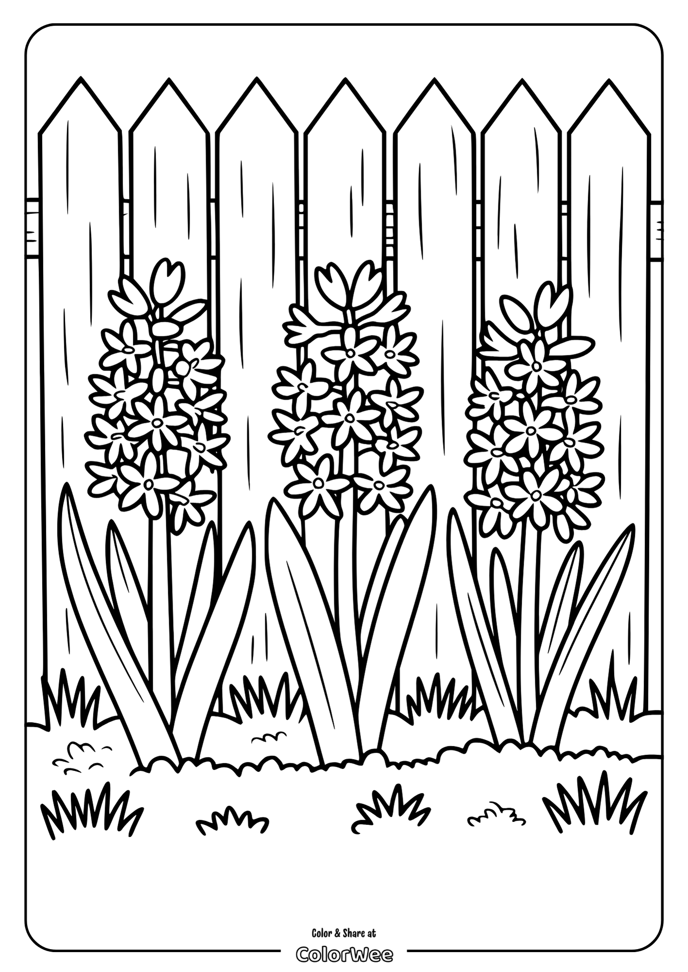 Spring Coloring page: flowering plants by a wooden fence.
