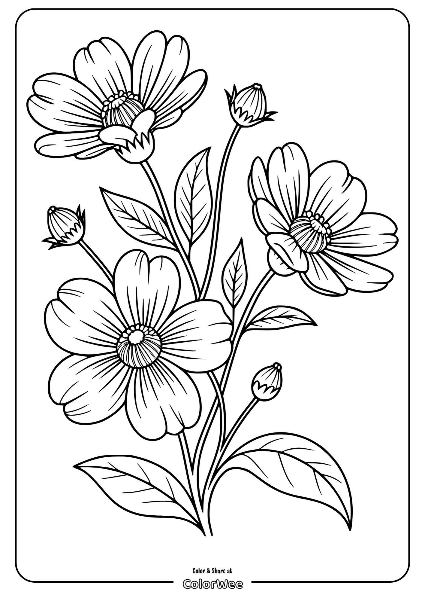 Floral coloring page with outlined blooming flowers and leaves.