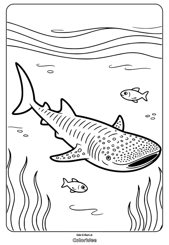 Whale shark coloring page with fish and seaweed outlines.