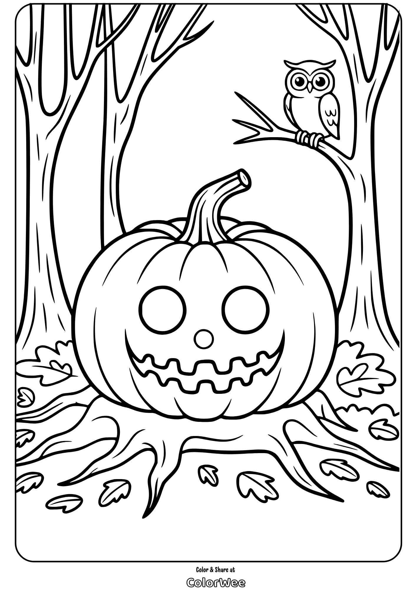 Halloween pumpkin and owl coloring page for kids.
