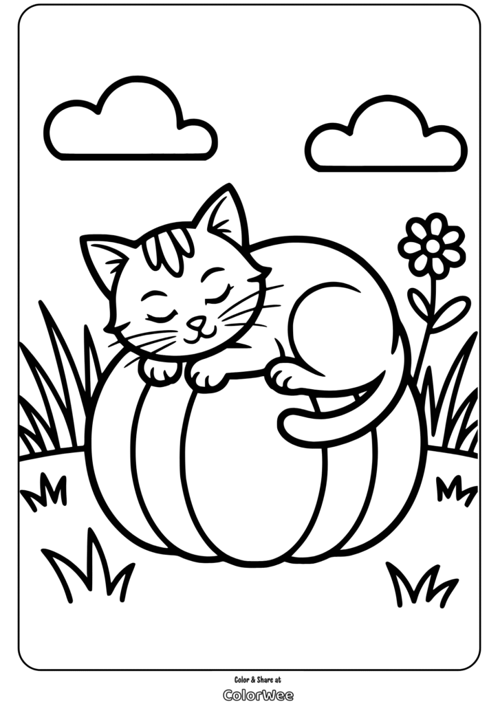 Cute cat sleeping on a pumpkin, coloring page for kids.