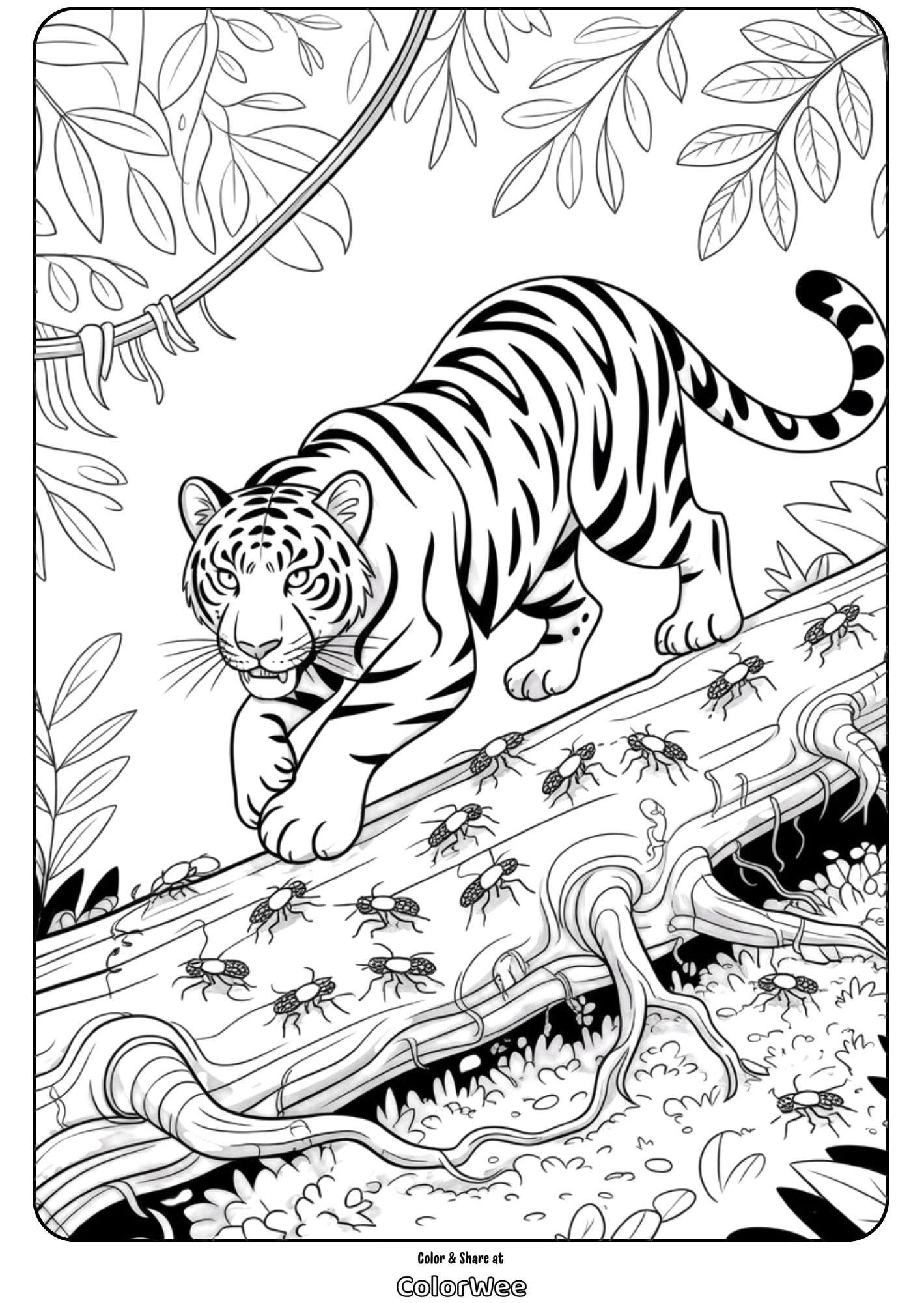 Jungle predators 5 Coloring page of a tiger walking on a log in the jungle.