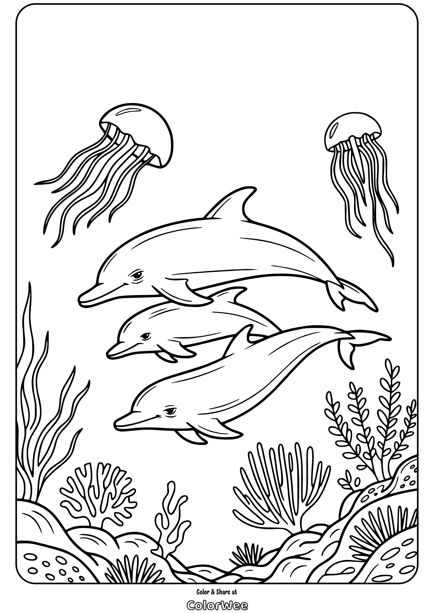 baby dolphin family underwater Dolphins and jellyfish in ocean coloring page for kids.