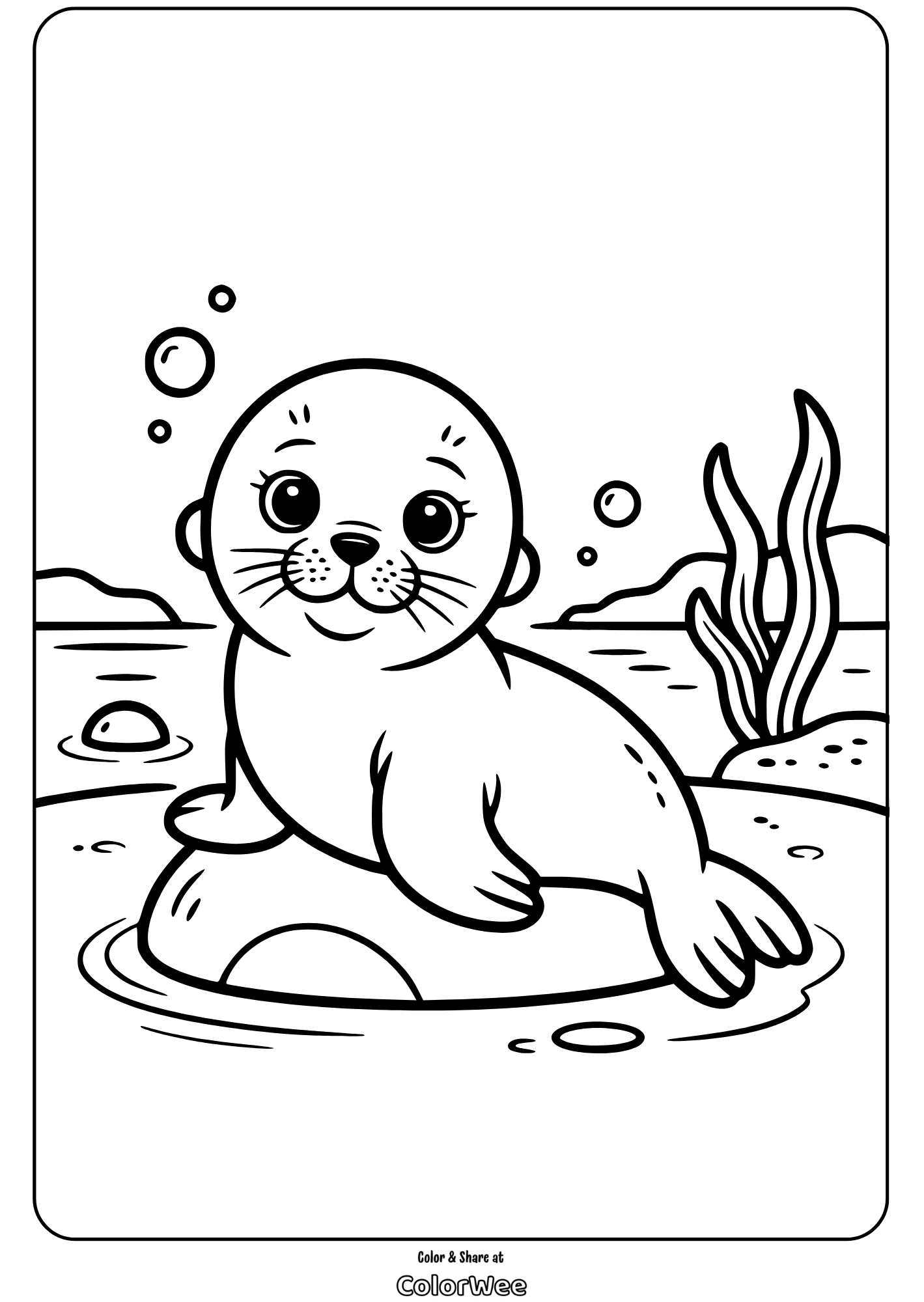 Cute seal pup on a rock coloring page for kids.