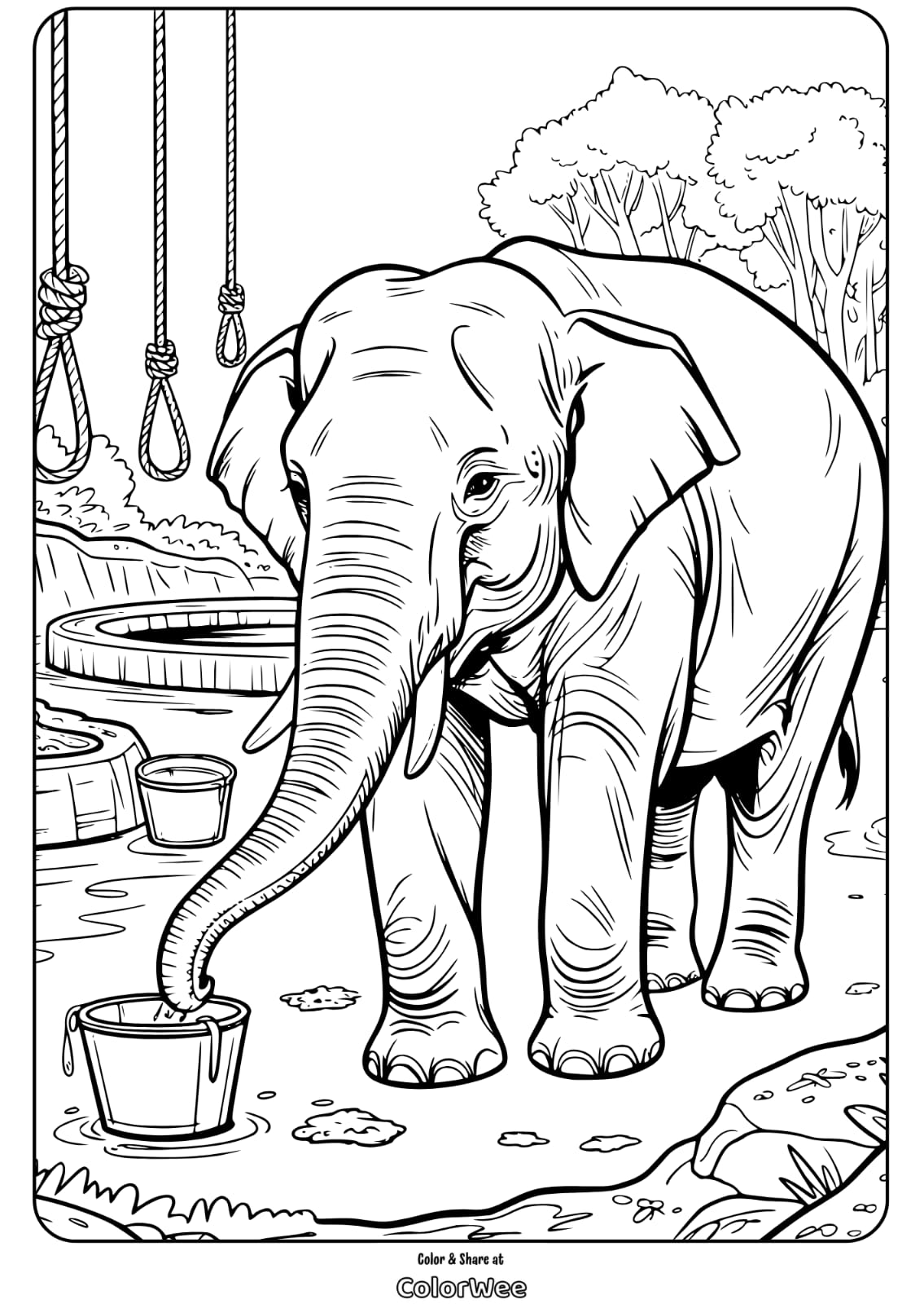 Elephant at zoo, drinking water coloring page for kids.