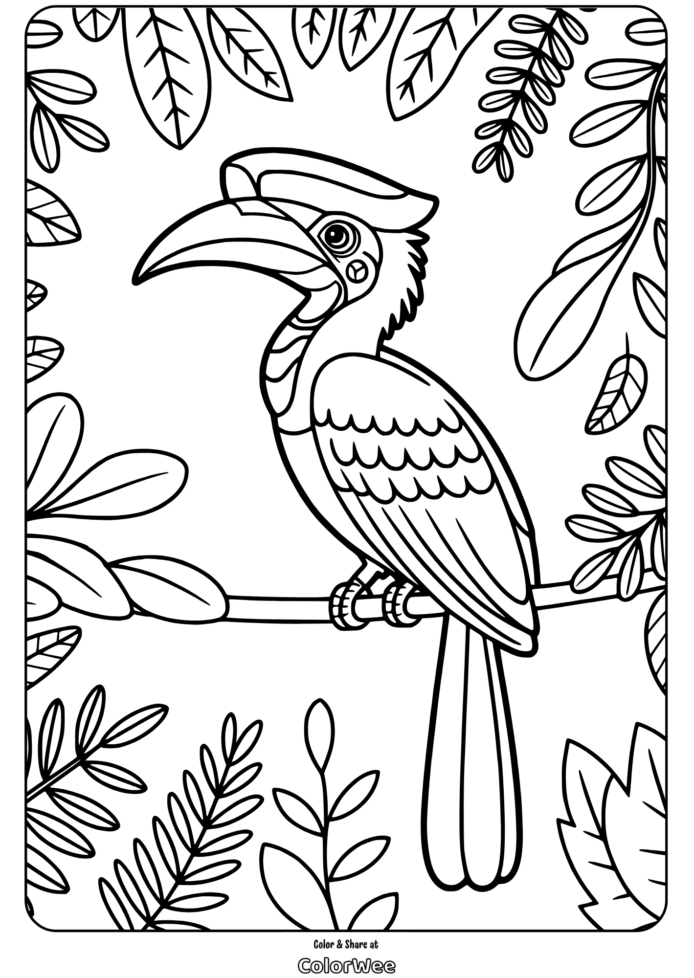 jungle birds hornbill on branch coloring page Tropical bird on branch coloring page with leafy background