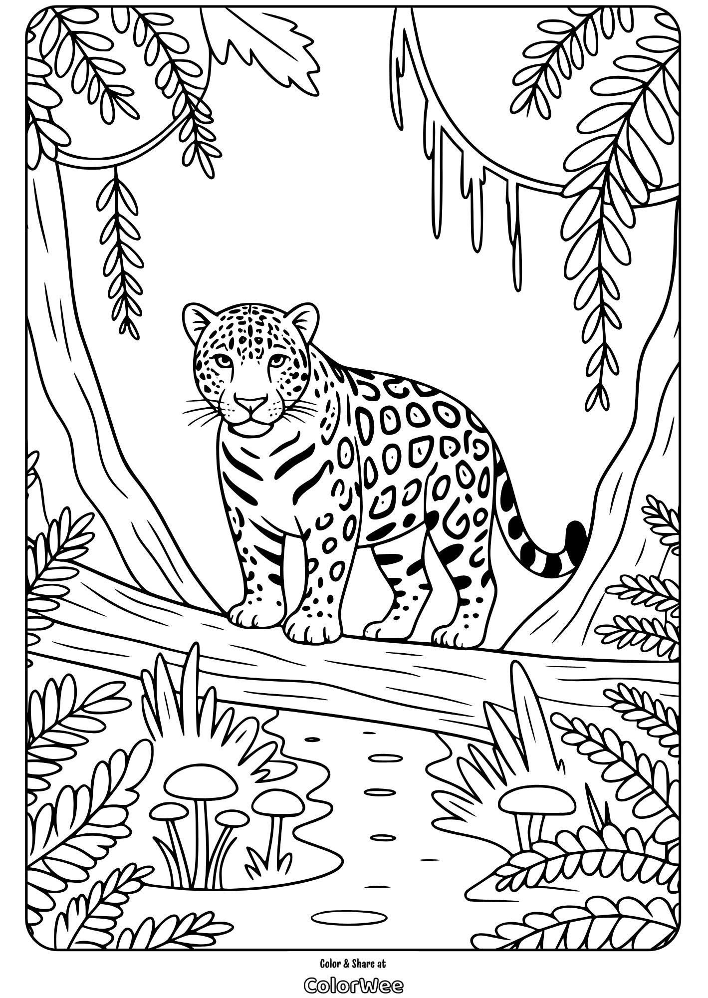 jungle predator leopard coloring page 1 Leopard in jungle coloring page for kids.