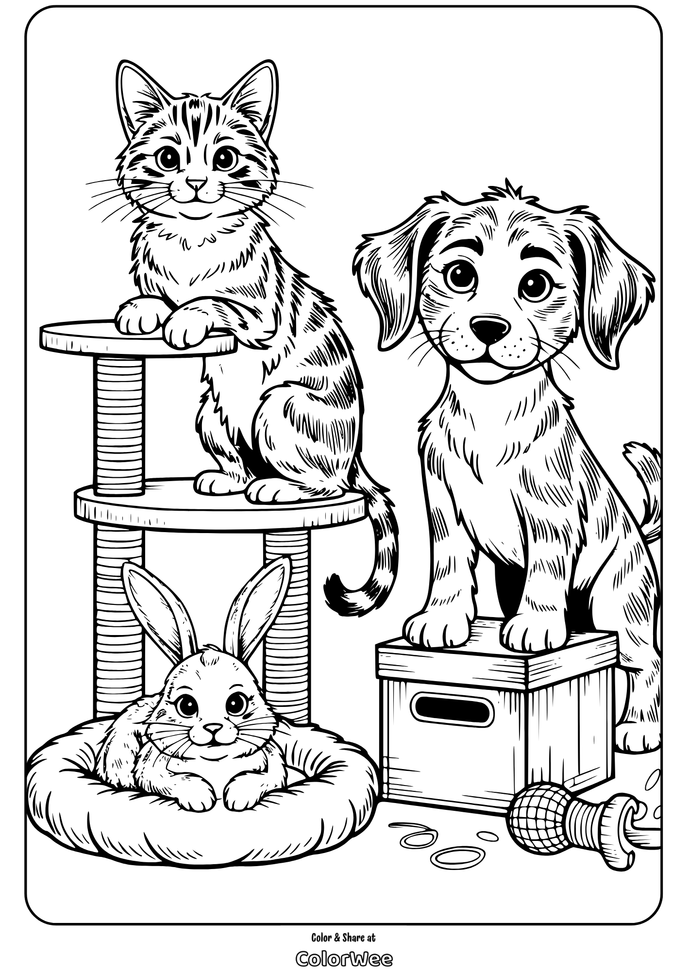 Cat, dog, and rabbit coloring page for kids.