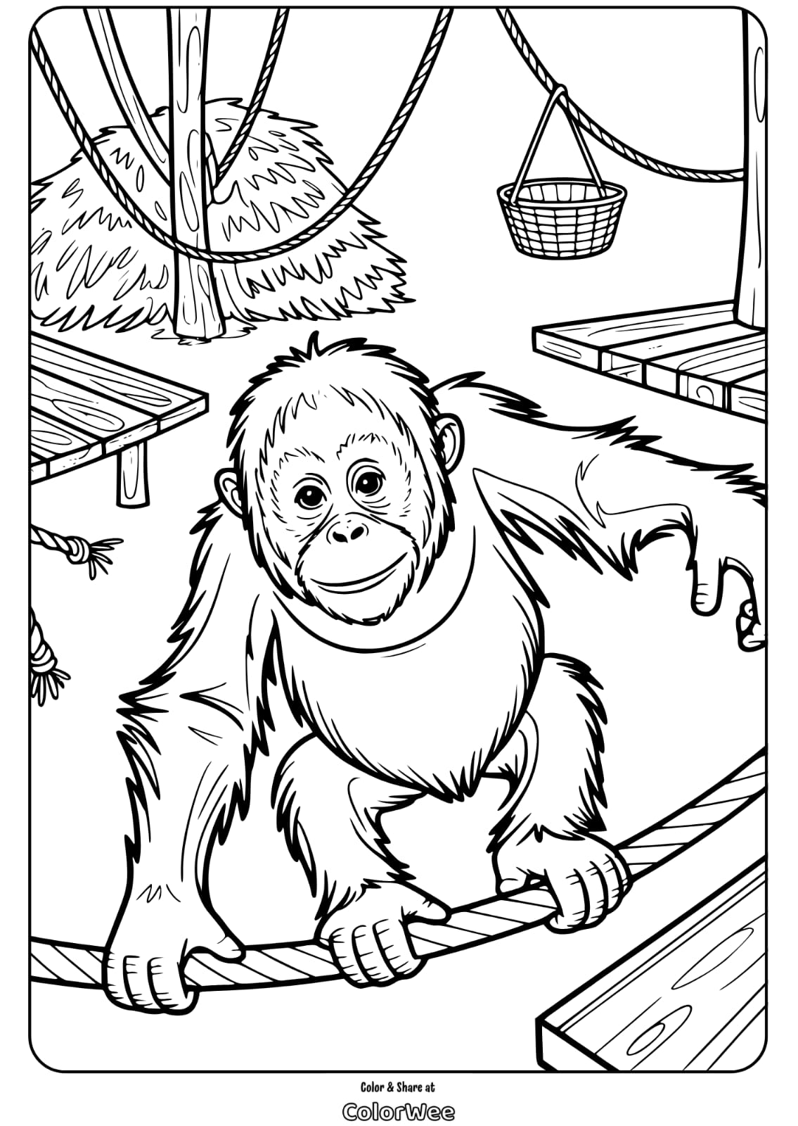 Young monkey swinging on jungle gym coloring page.