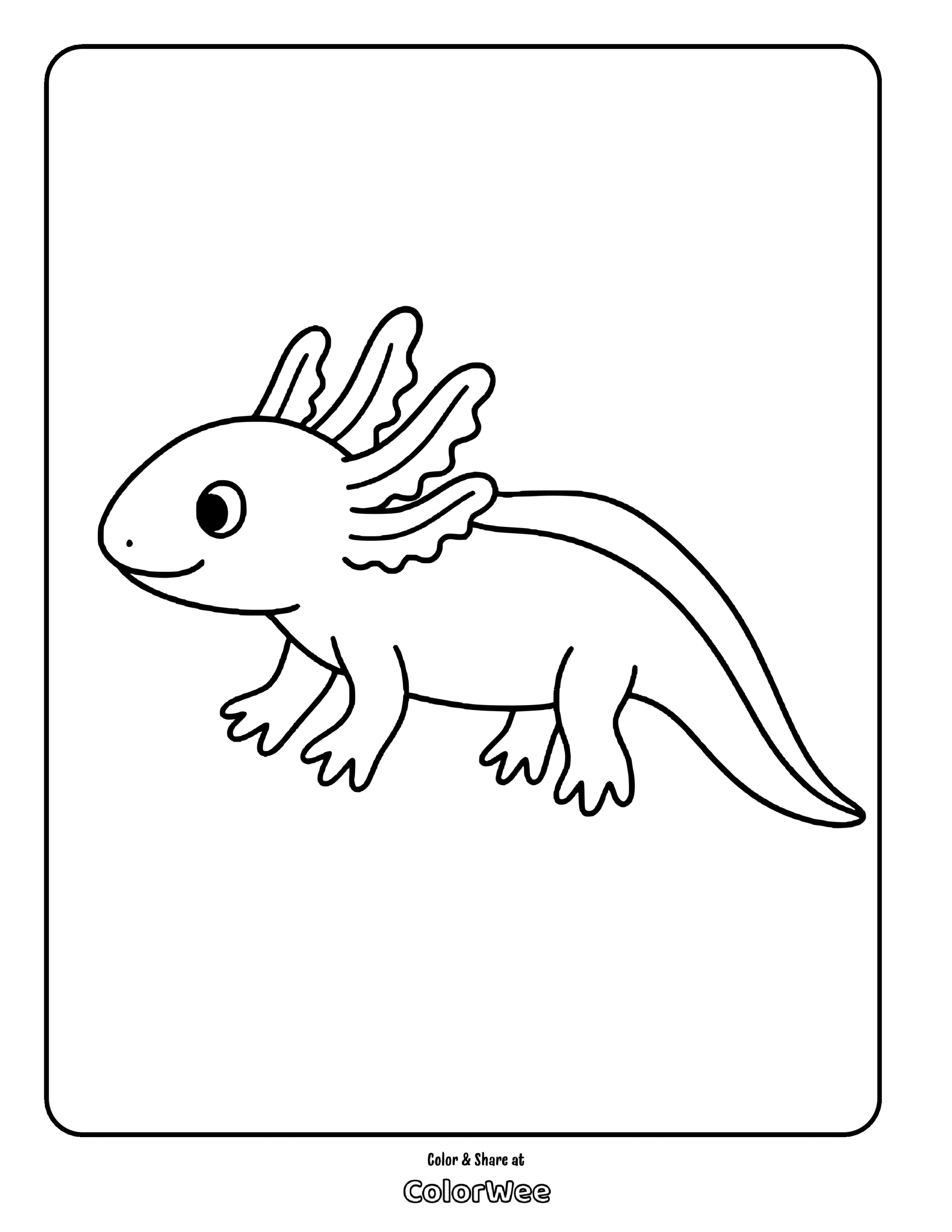 Axolotl coloring page, cute amphibian line art for kids.