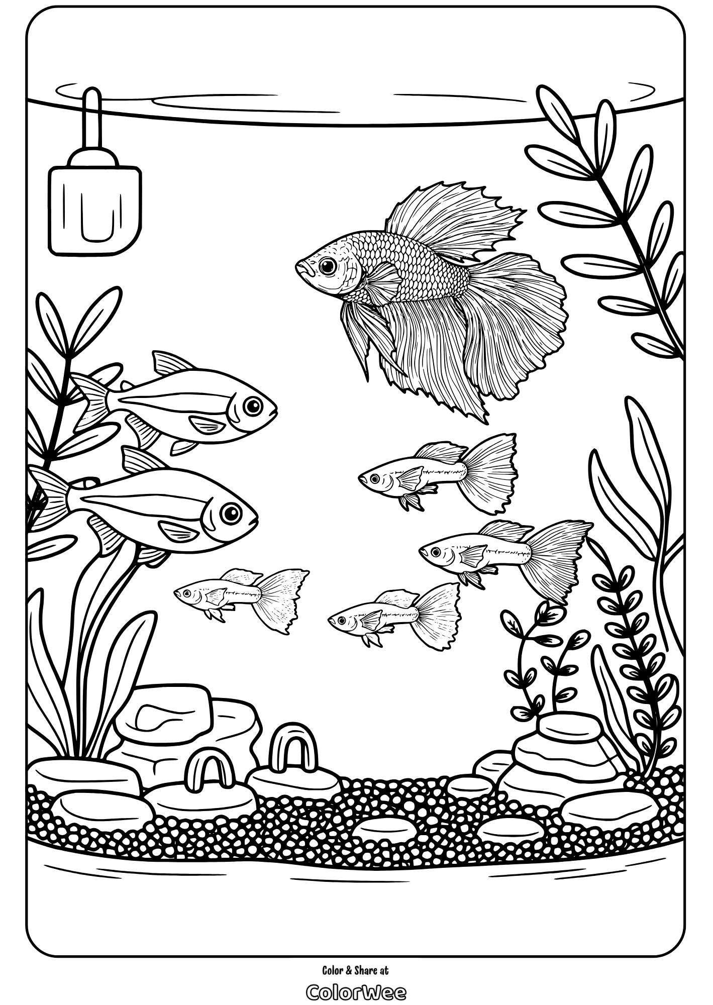 Fish tank coloring page with plants and rocks.