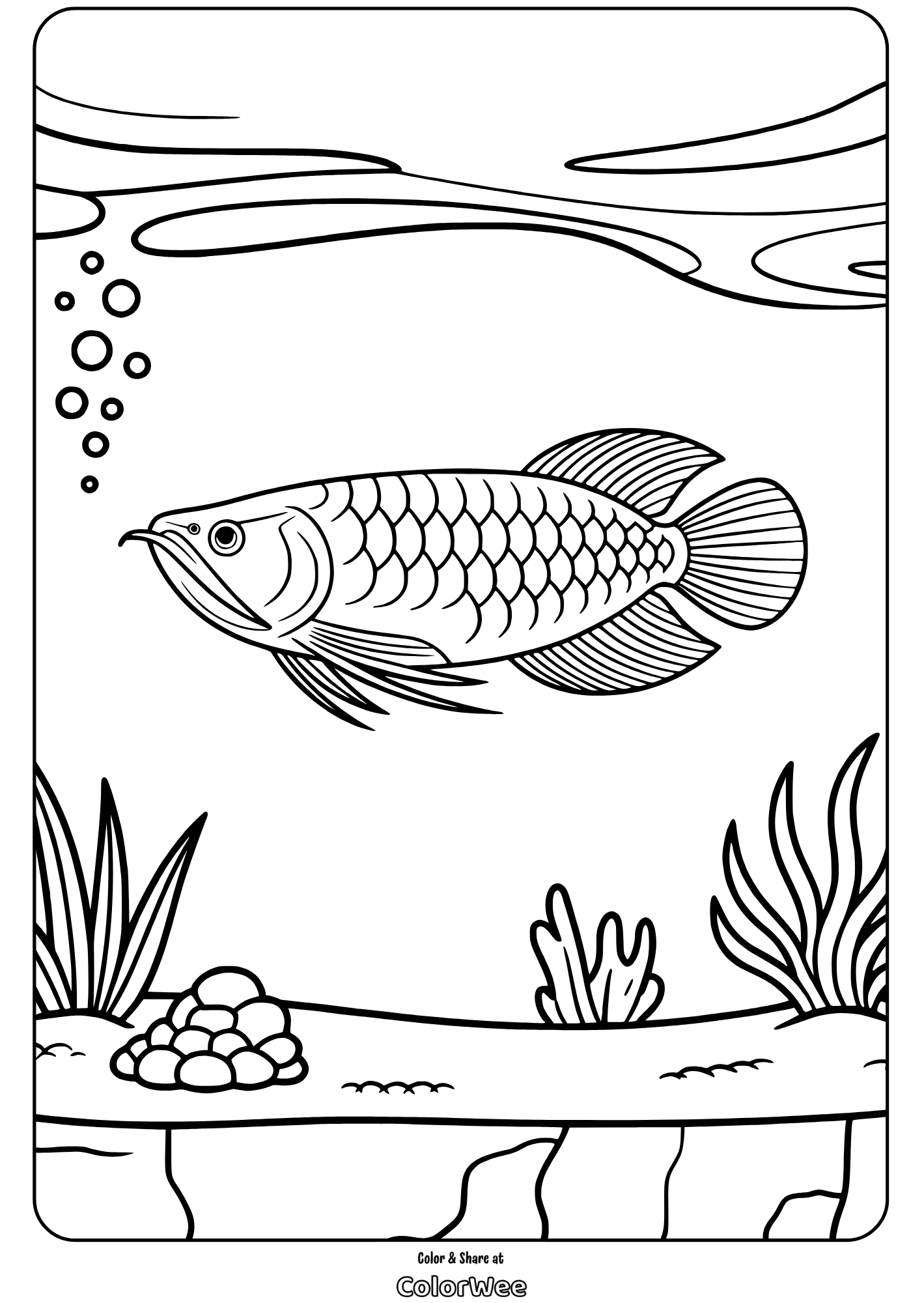 Arowana fish coloring page with underwater plants and bubbles.