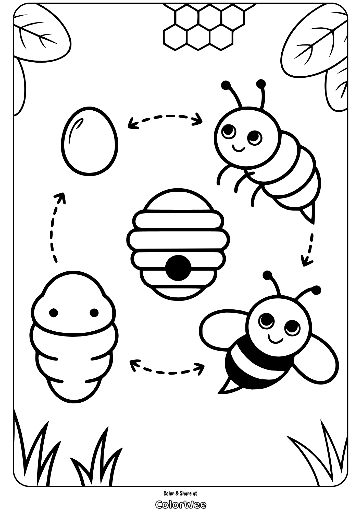 bee life cycle hive ring honeycomb coloring page Cute bee life cycle coloring page for kids
