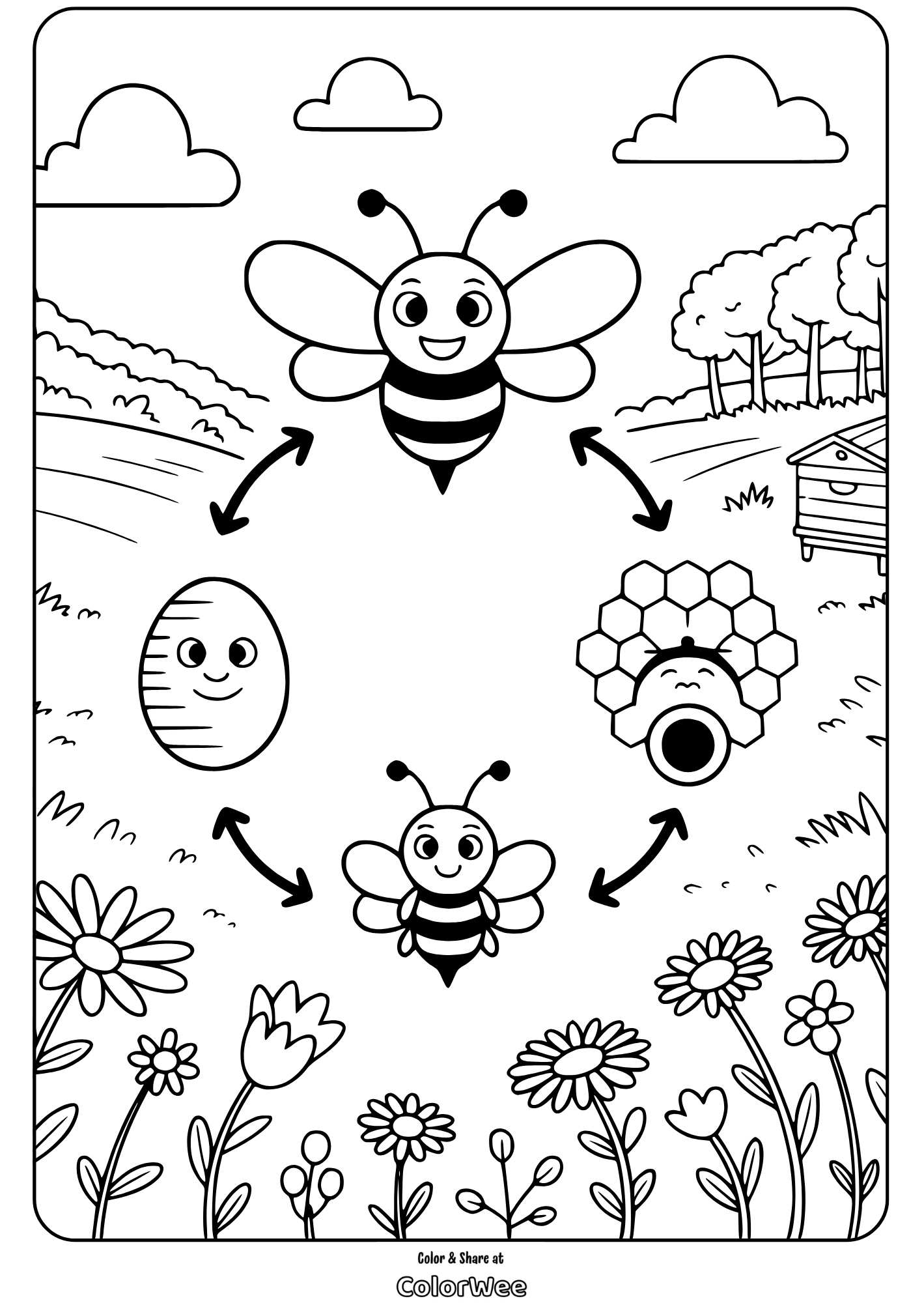 bee life cycle meadow loop coloring page Bee life cycle coloring page with flowers and hive.