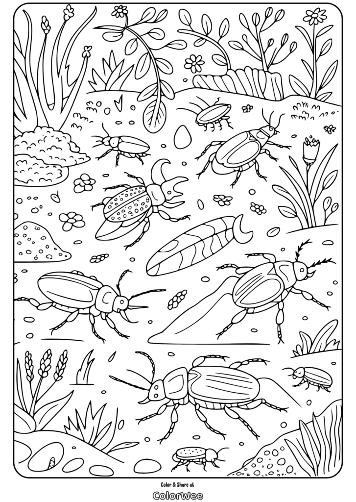 busy meadow insects beetles and bugs coloring page Insect-themed coloring page with plants and beetles.