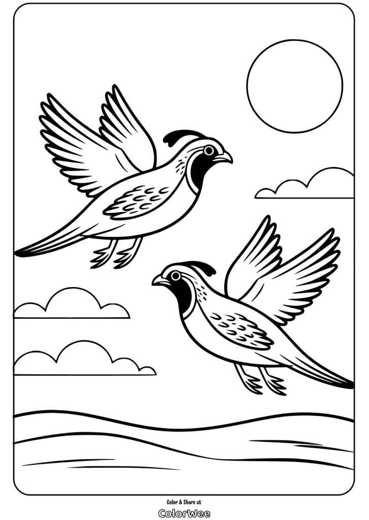 Flying quails coloring page with sun and clouds.