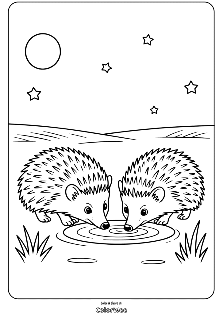 Hedgehogs drinking at night under stars coloring page.