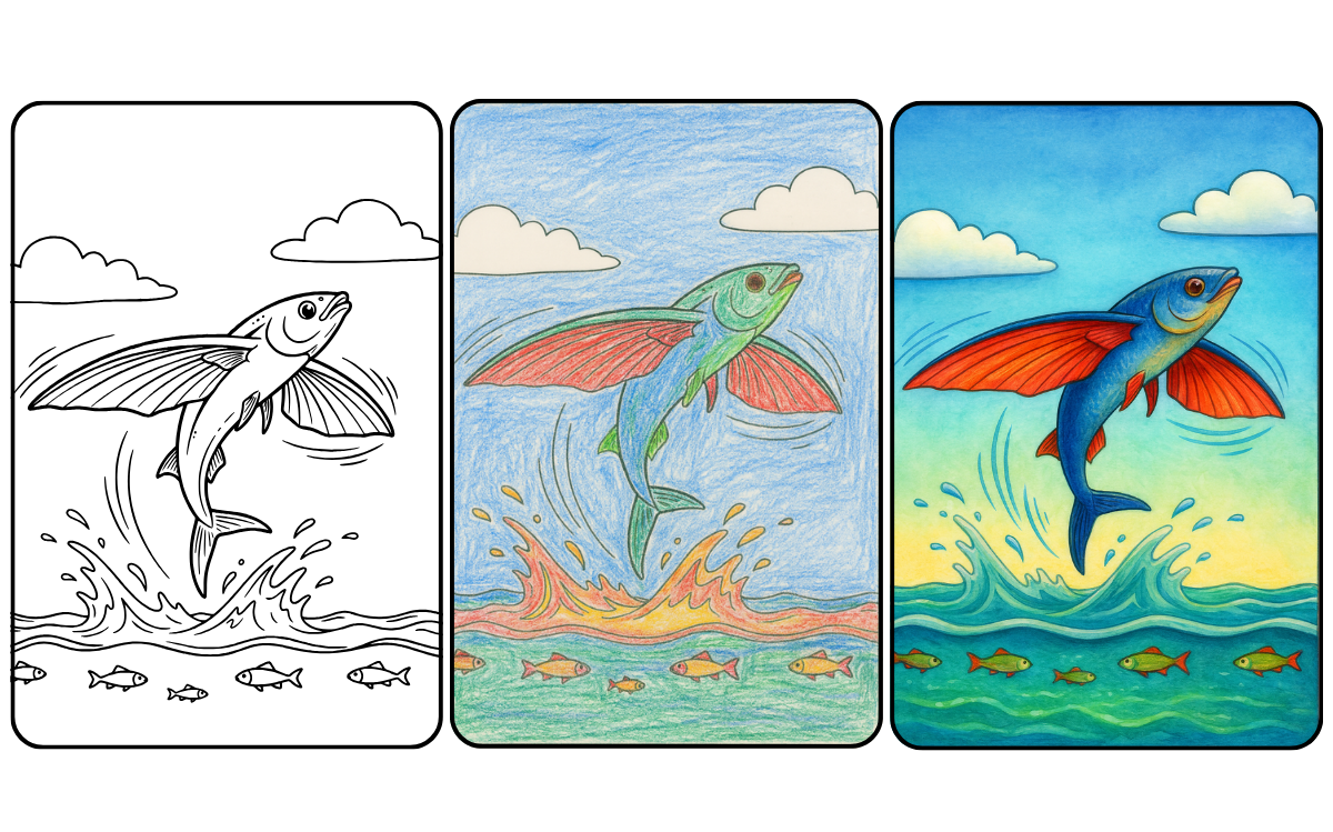 Flying fish coloring page progression: outline, colored pencil, fully colored.
