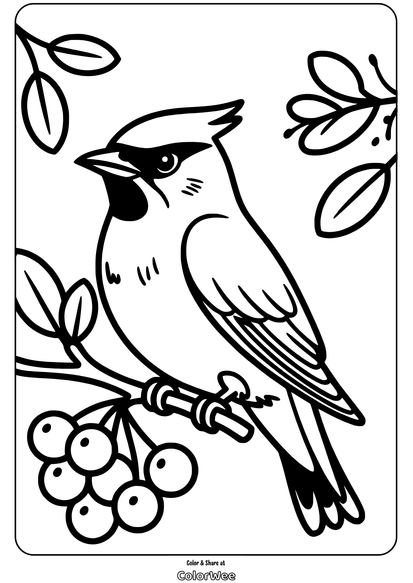 Cardinal bird on branch coloring page with leaves and berries.