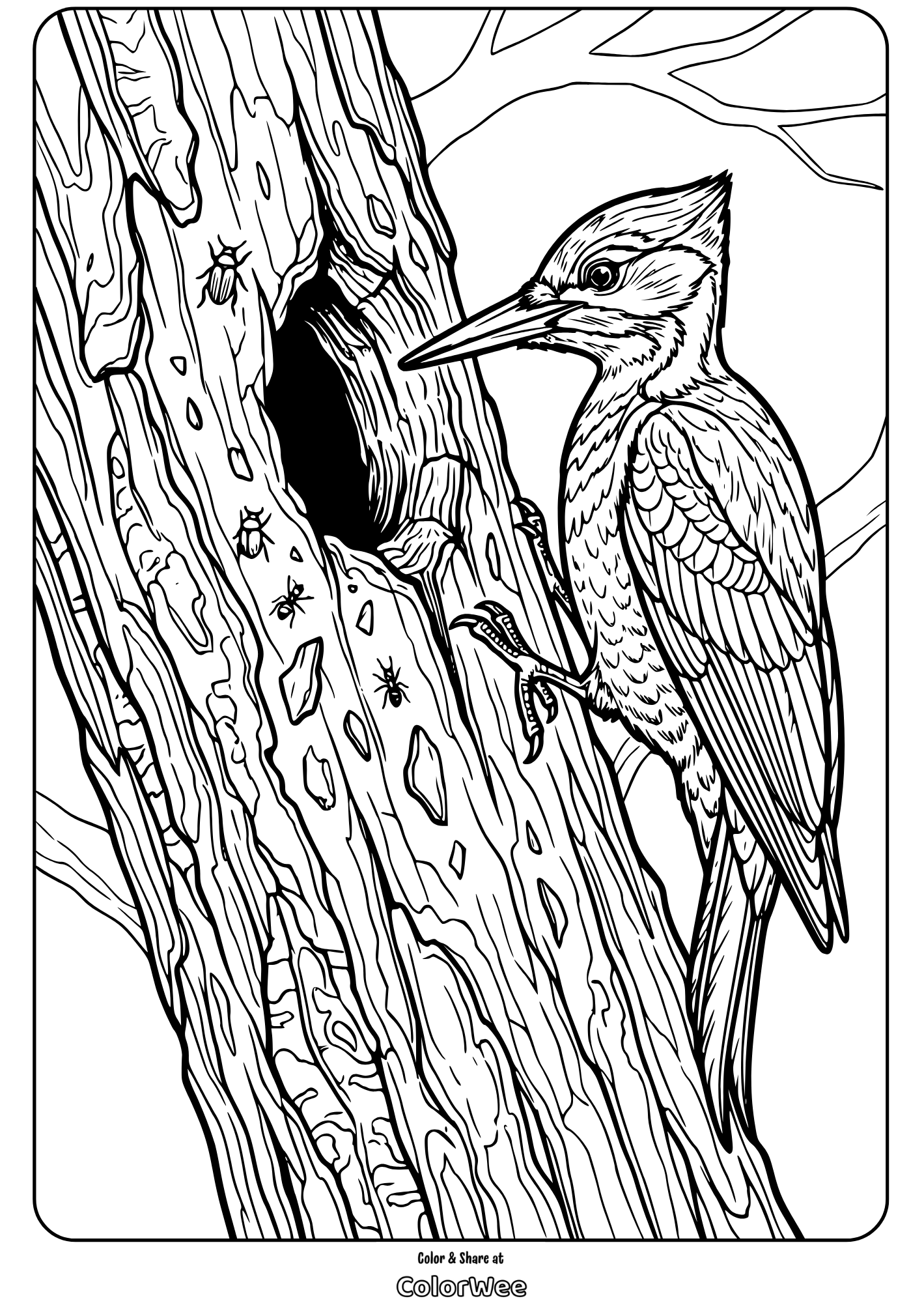 Woodpecker coloring page with detailed tree and bird.