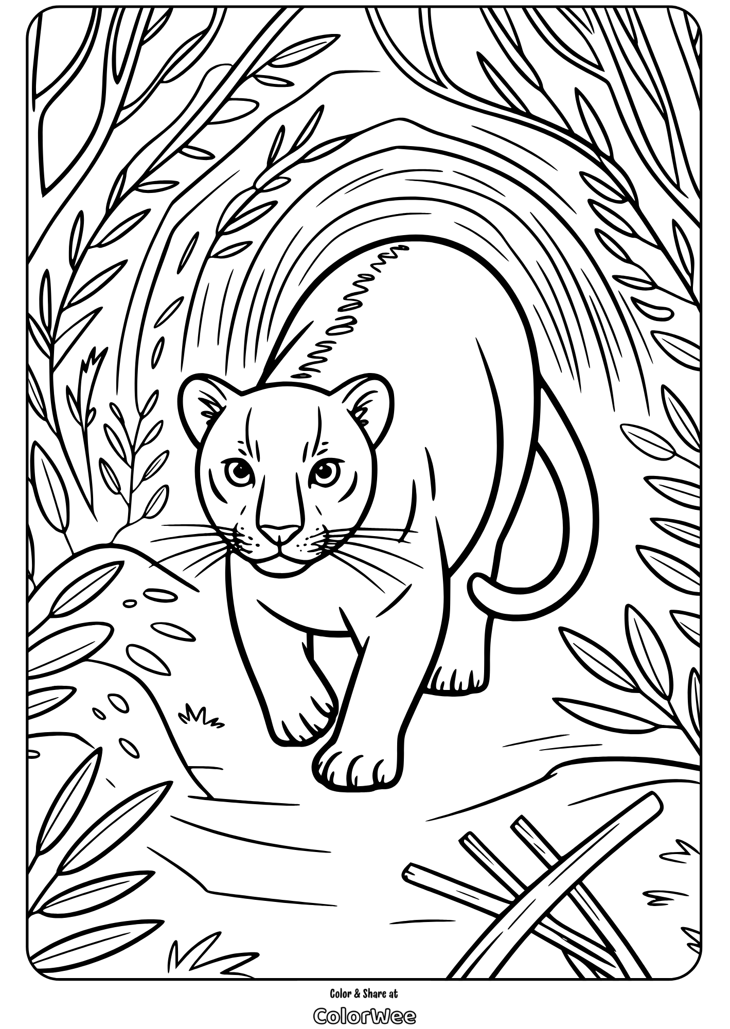 Lion cub in jungle coloring page for kids.