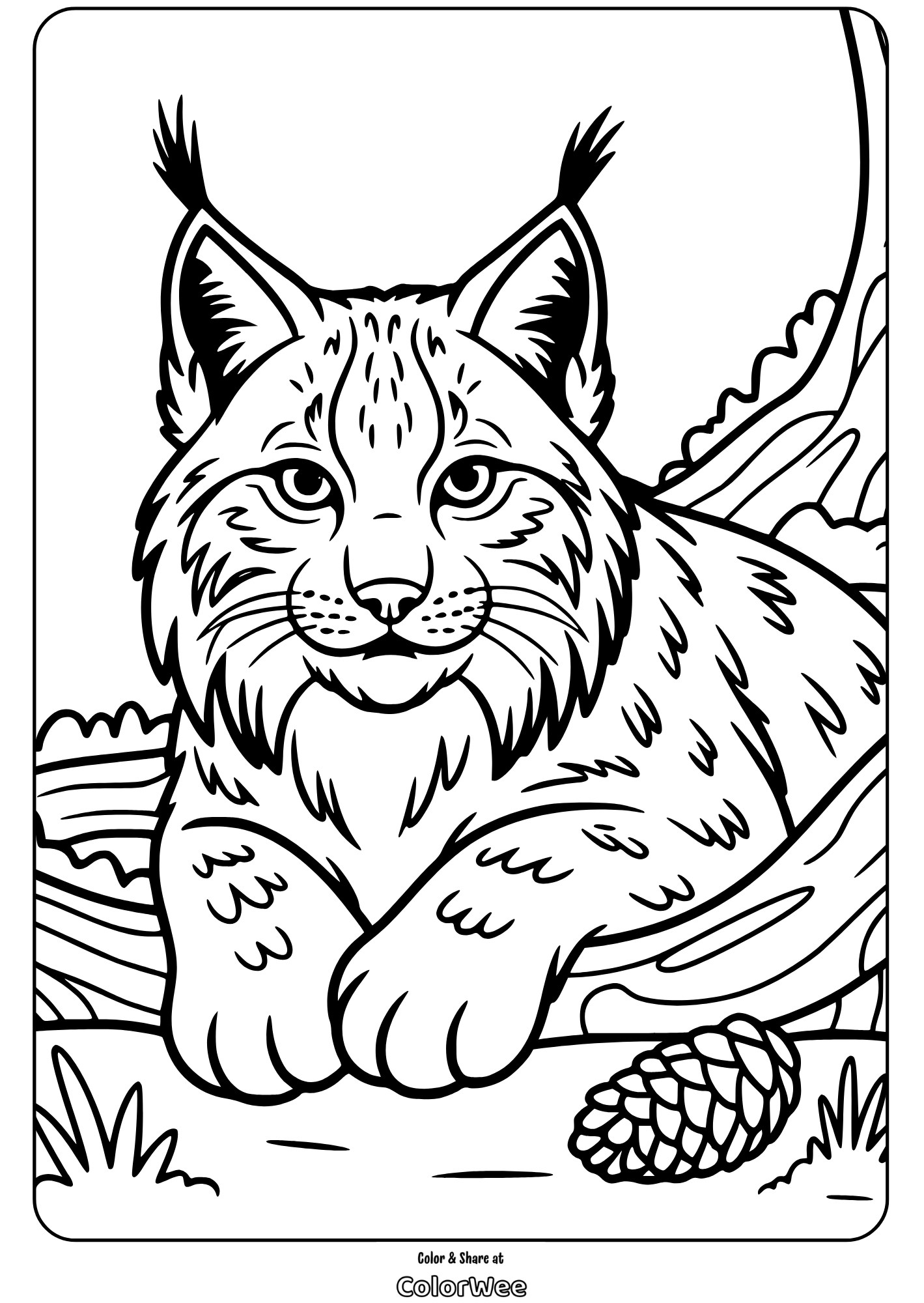 Lynx coloring page with forest background and pine cone.