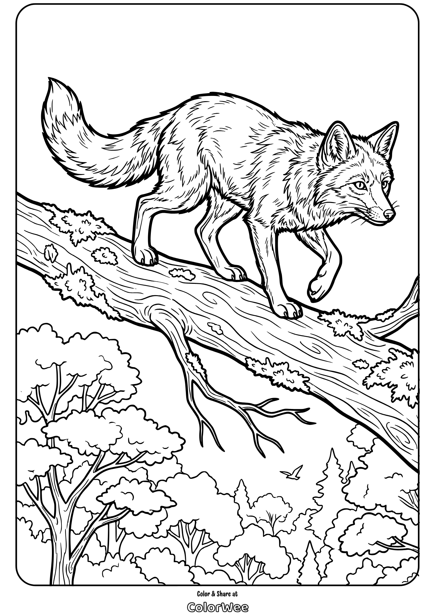 Fox on tree branch coloring page for kids. Printable wildlife scene.