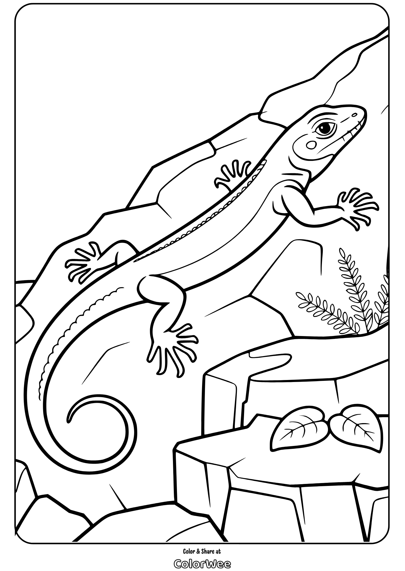Lizard coloring page: reptile on rocks with plants, ready to color.