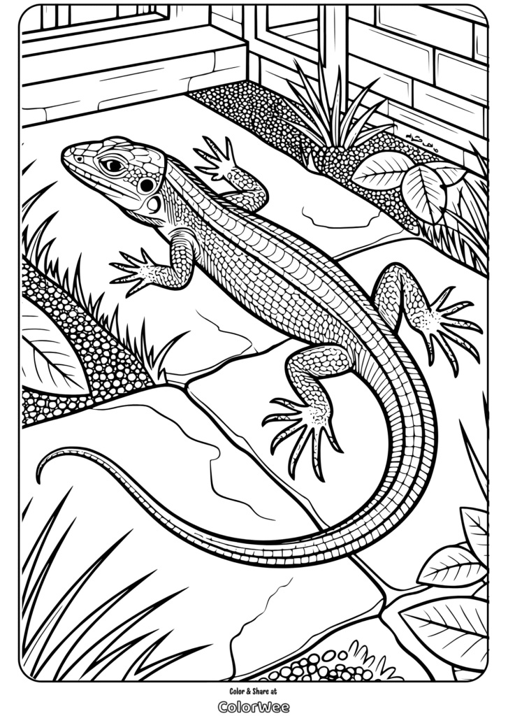 Lizard on a garden path coloring page for kids.