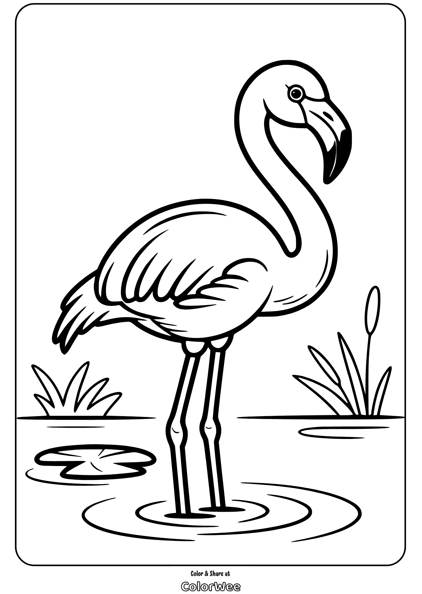 Flamingo coloring page, black-and-white illustration for kids coloring.