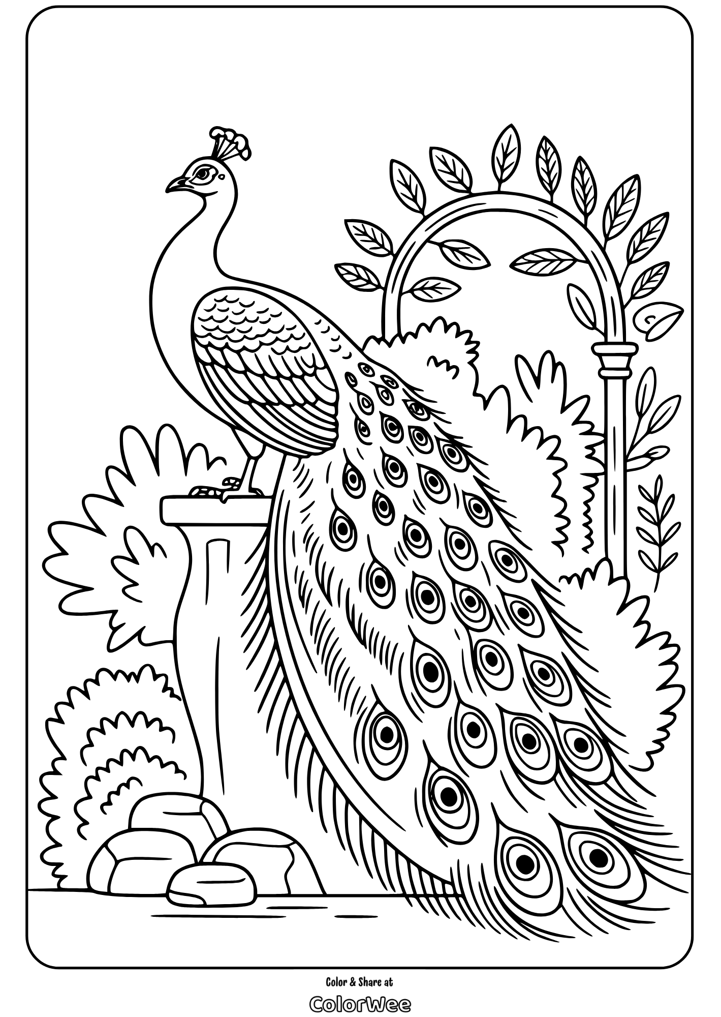 Peacock coloring page with intricate feather and garden design.
