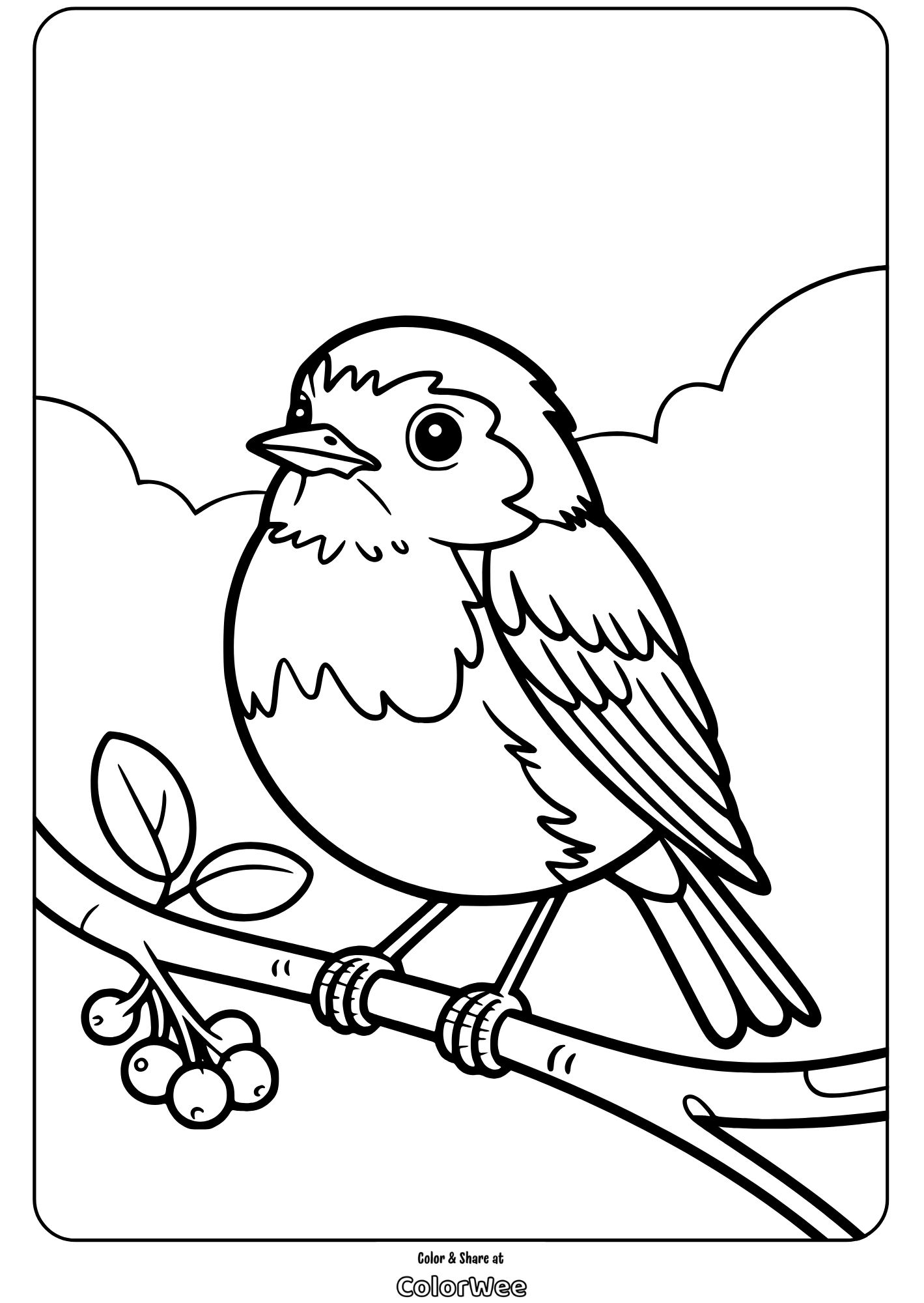 Bird on branch coloring page for kids to enjoy and color.